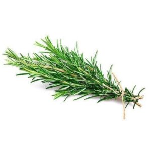 Alecrim, 25cm, maço