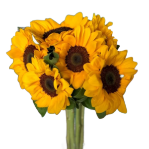 Girassol, maço c/ 6 hastes