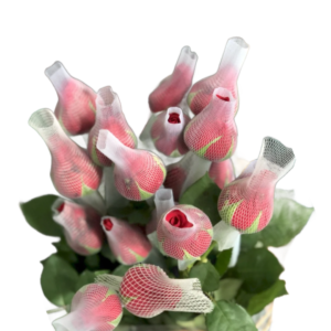 Rosa Vermelha Love Red, Curta, maço c/ 30 Botões